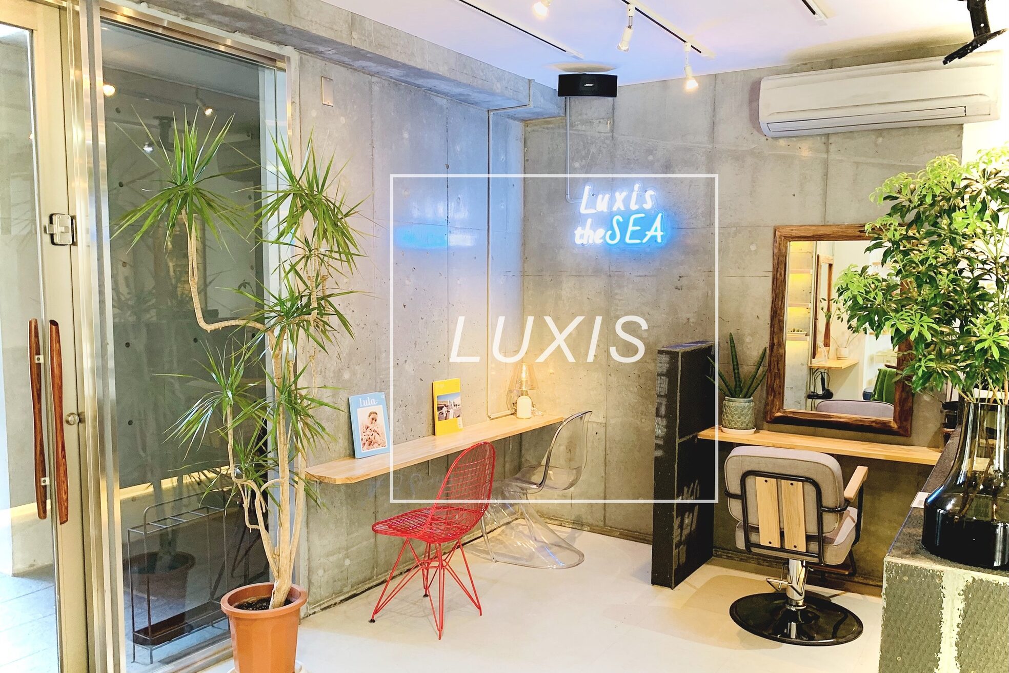ラグシス(LUXIS)12
