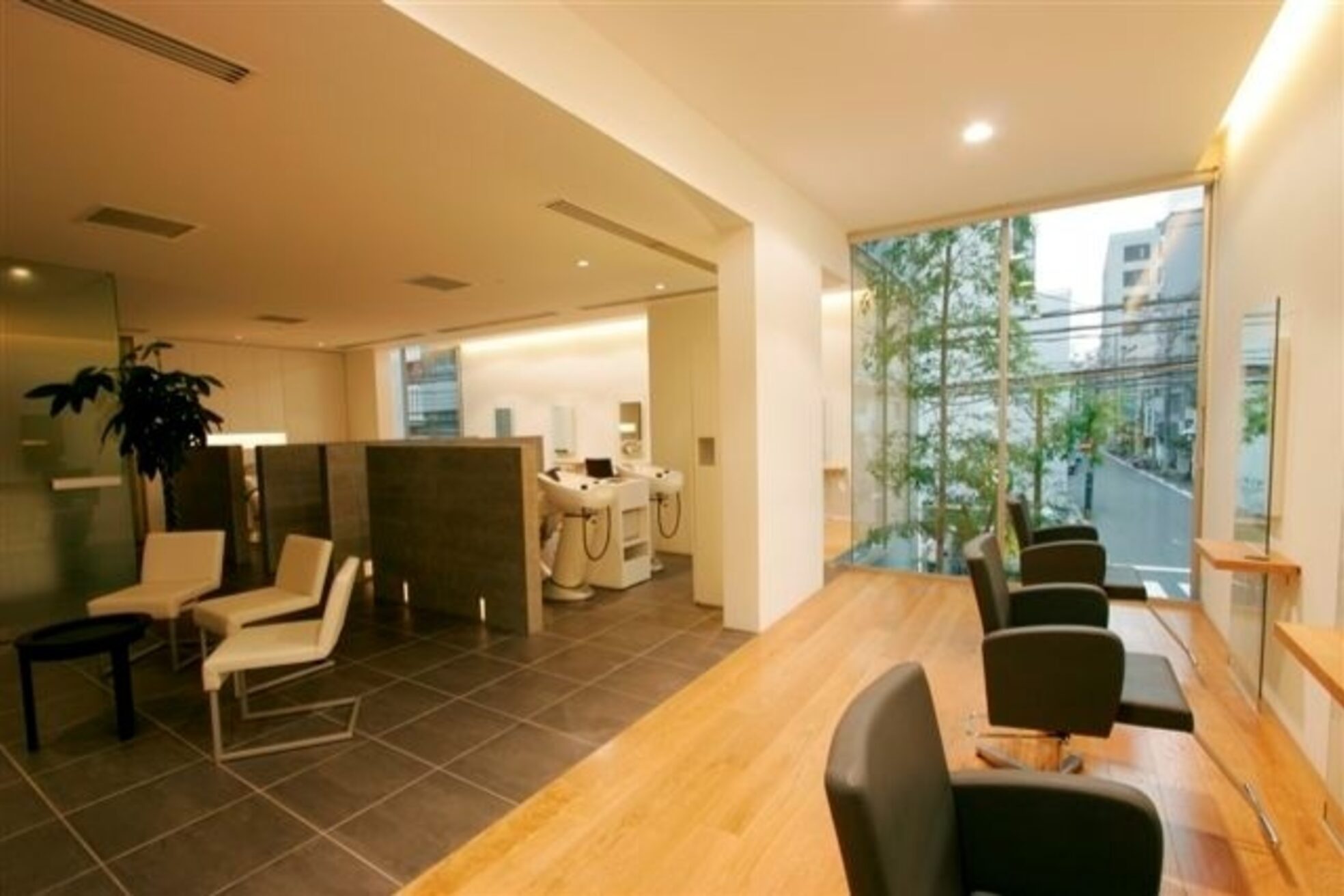 ウィスタリアフィールド モナド(WISTARIA FIELD MONAD)5