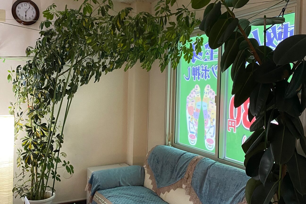 本場中国式整体（中国整体健康の家）画像1