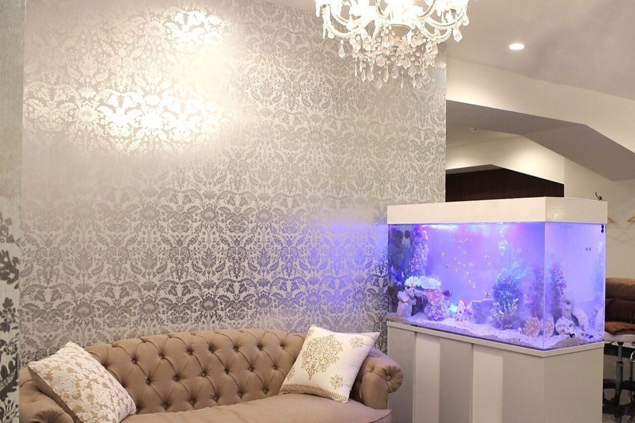 セリナ（株式会社　Ｓｅｒｉｎａ　Ｇｒｏｕｐ）画像2