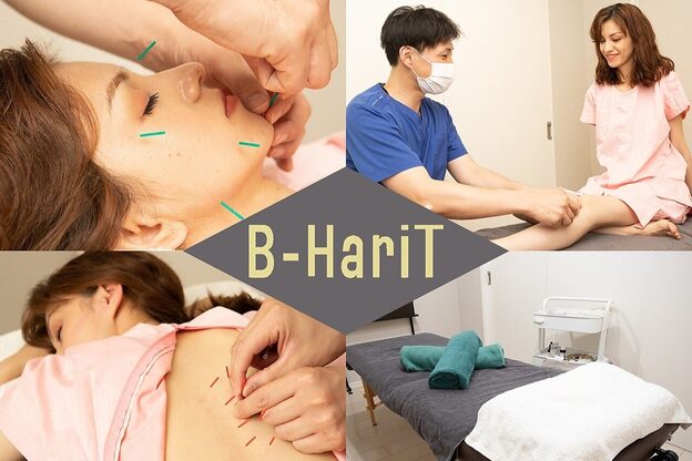 ビーハリット(B-HariT)1