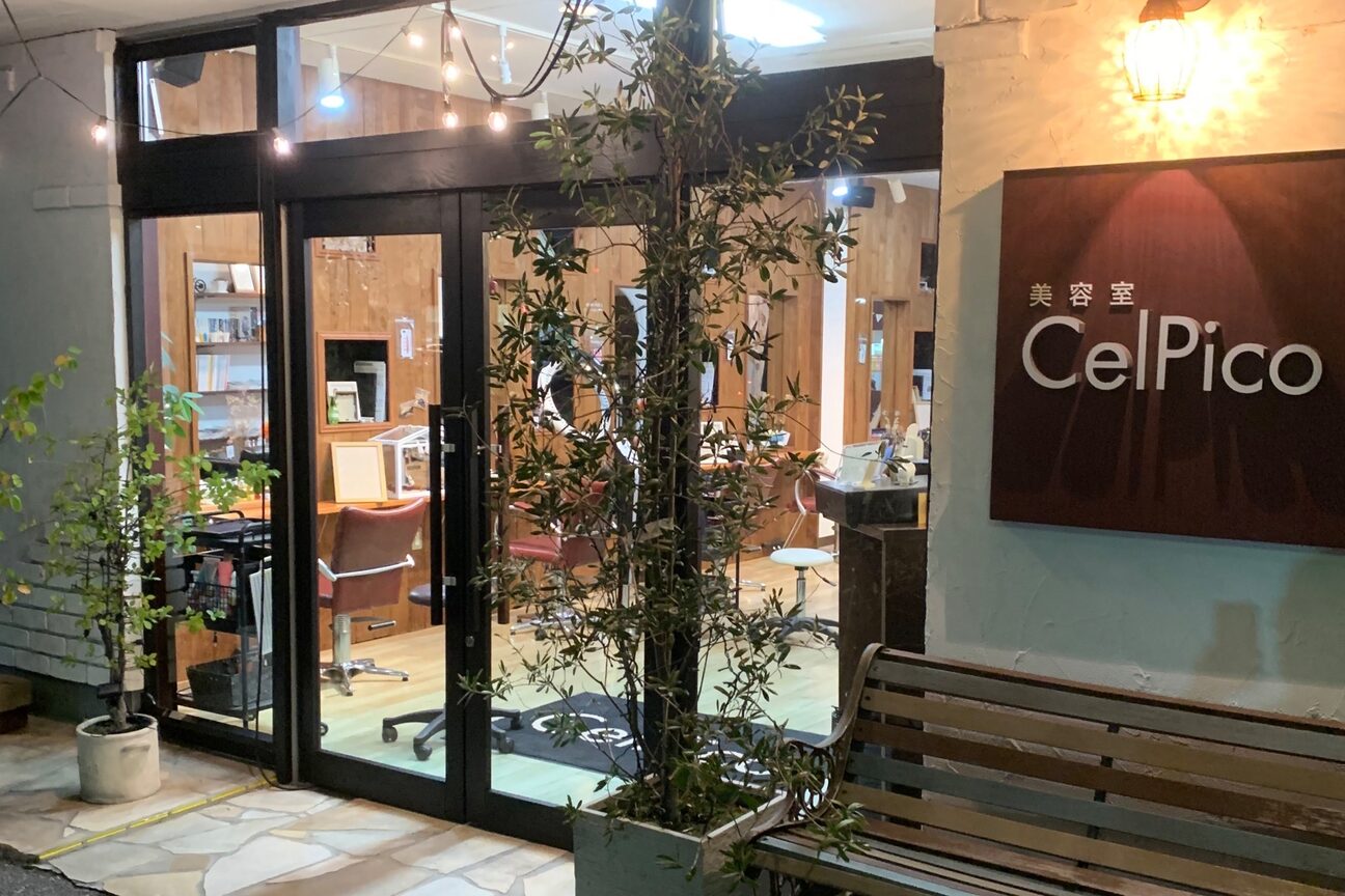 セルピコ(CelPico)2