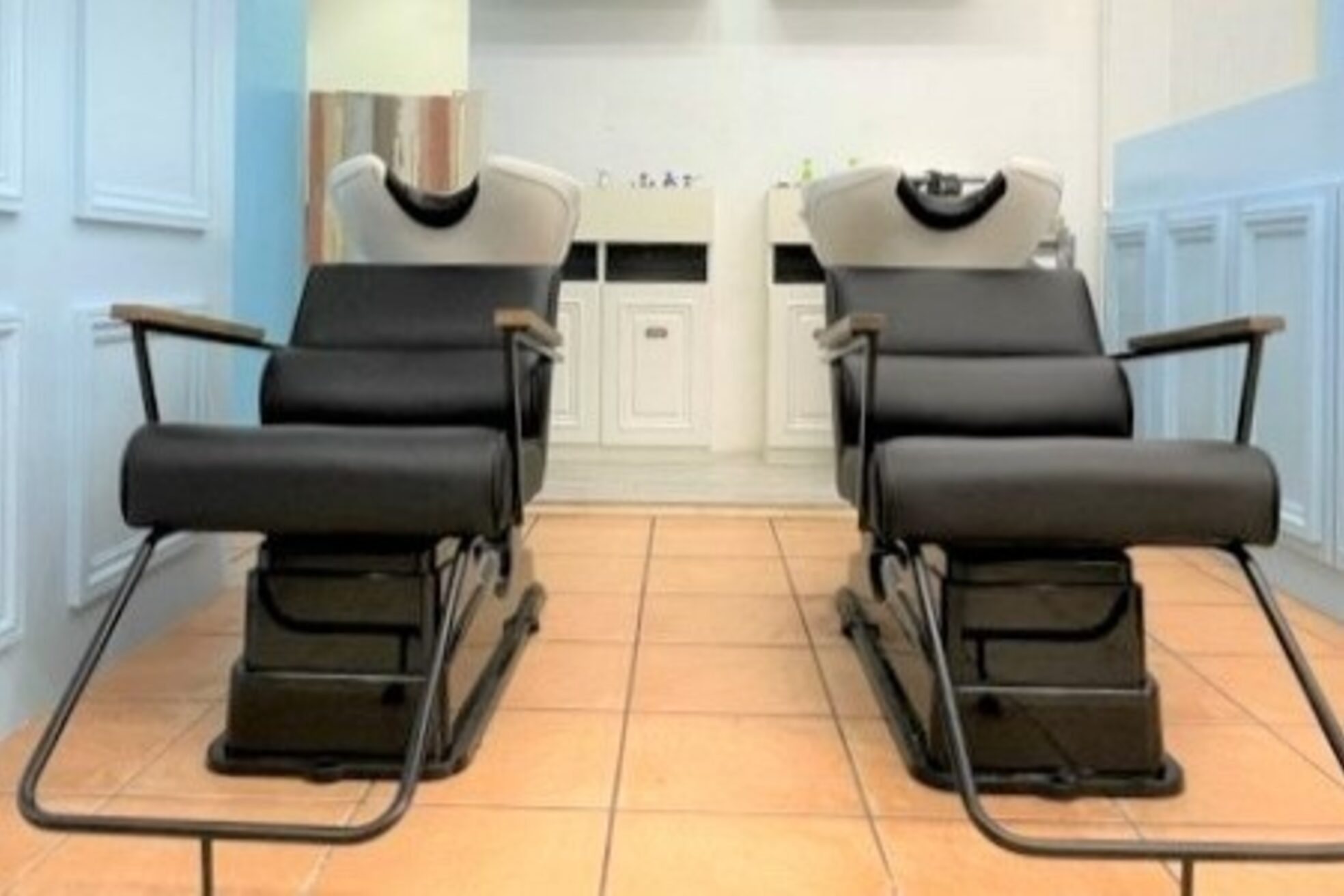 グラスペディア(graspedia)4