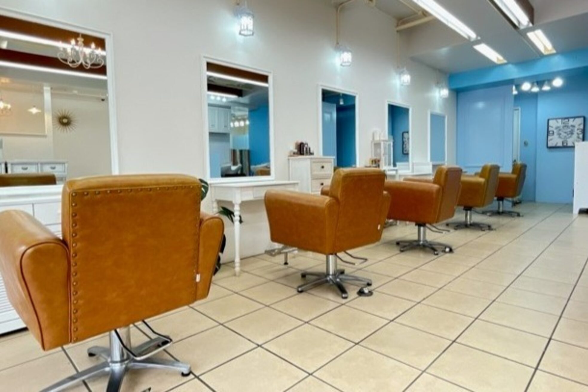 グラスペディア(graspedia)2