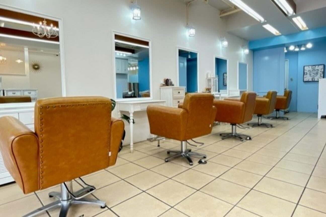 グラスペディア(graspedia)2