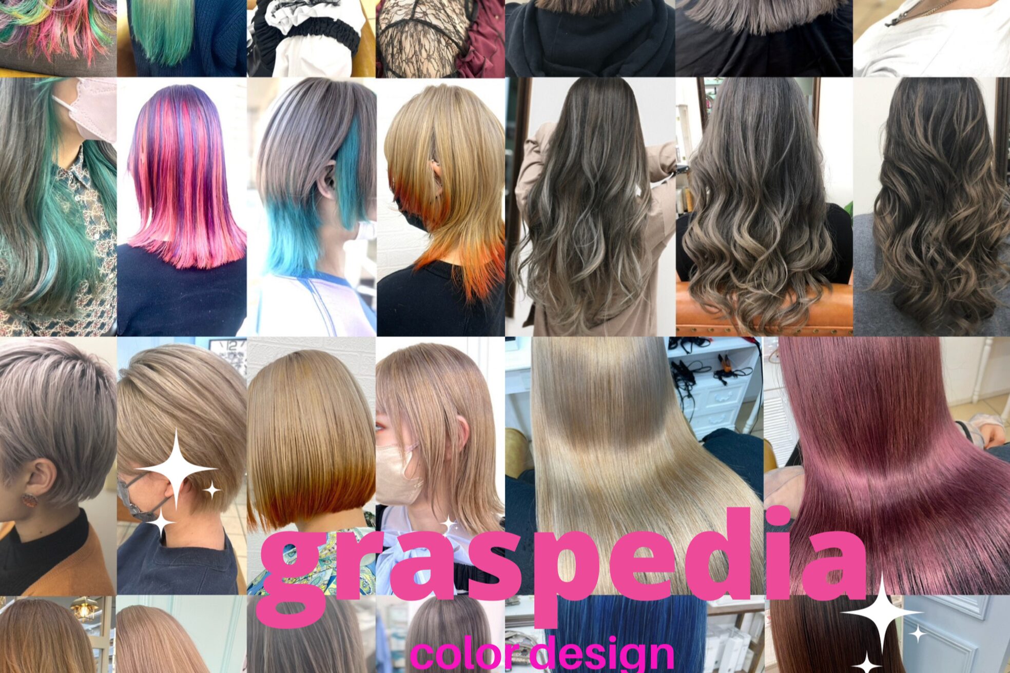 グラスペディア(graspedia)7