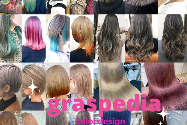 グラスペディア(graspedia)7