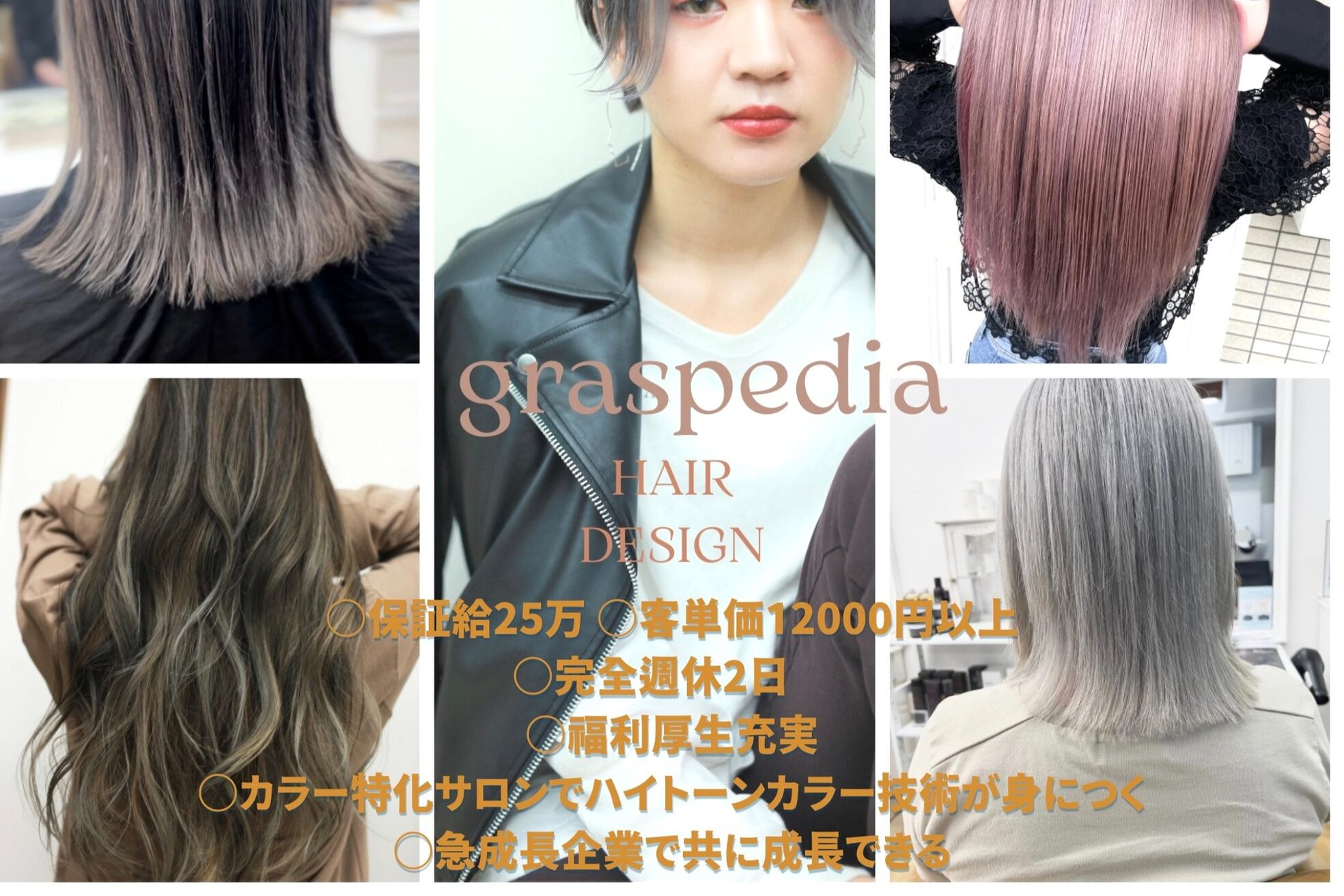 グラスペディア(graspedia)8