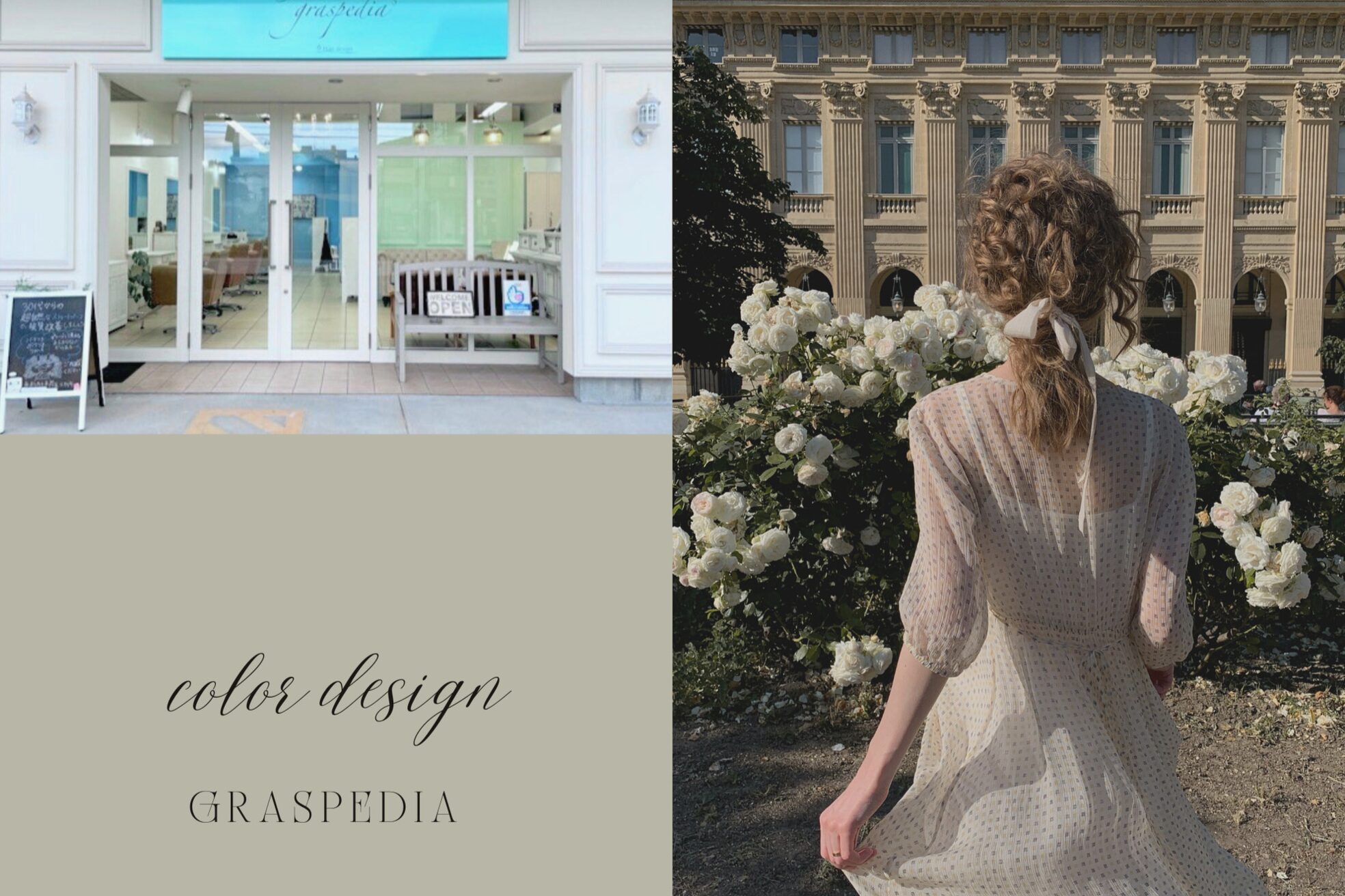 グラスペディア(graspedia)6