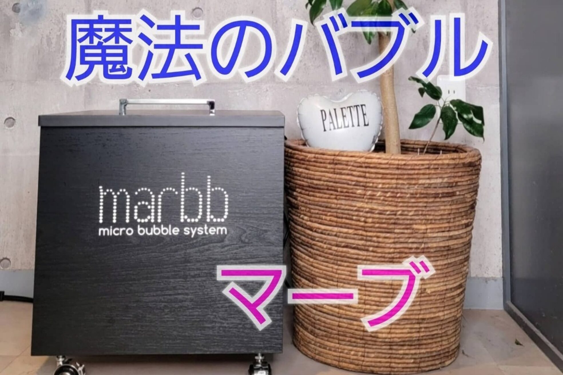 パレット 町田店(PALETTE)5