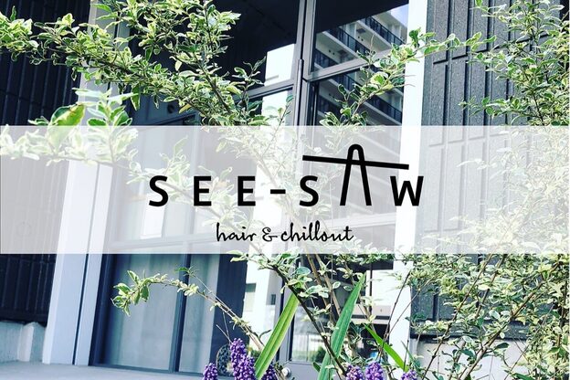 シーソー(SEE-SAW)2