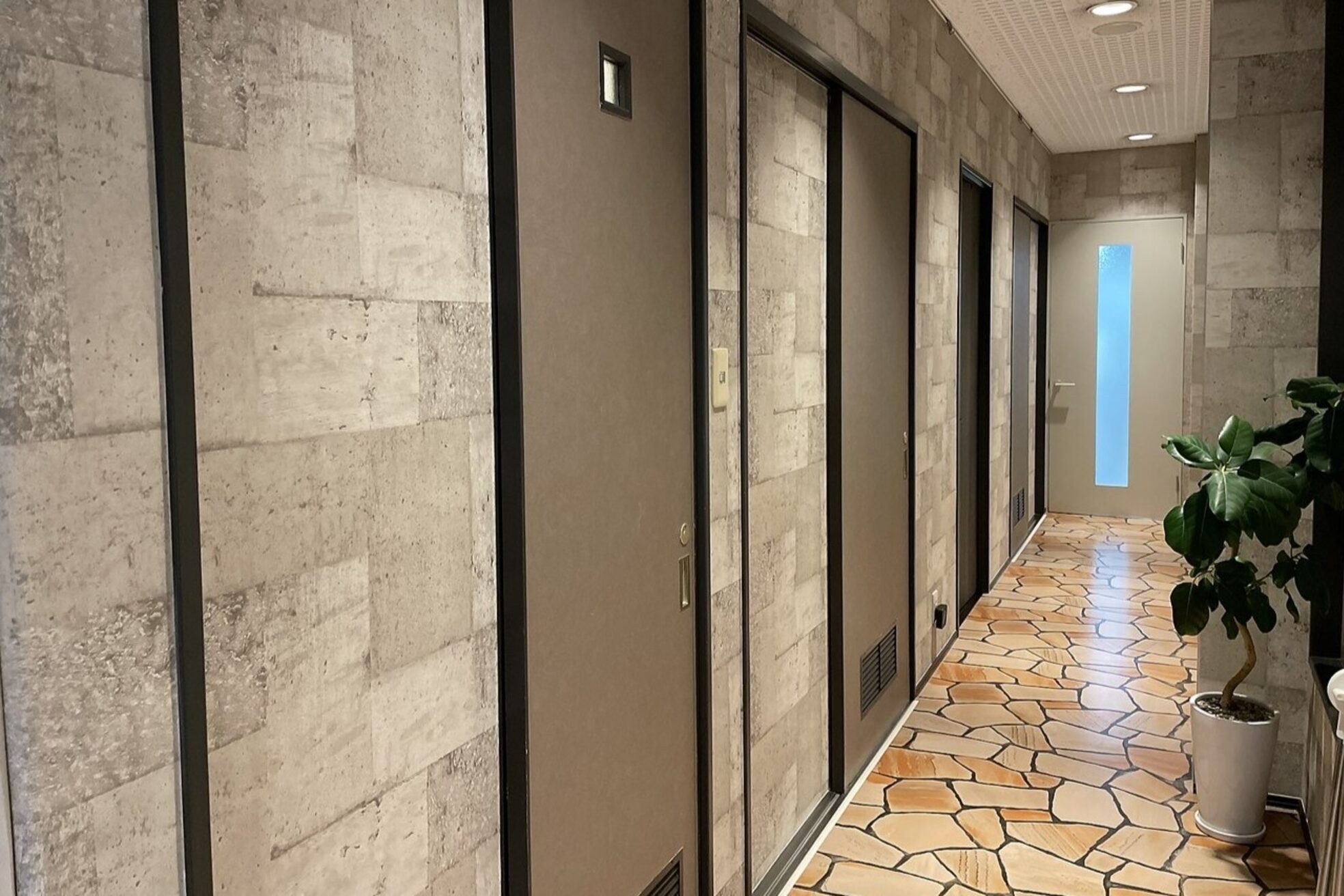 ヴィヴィー(vivie)2