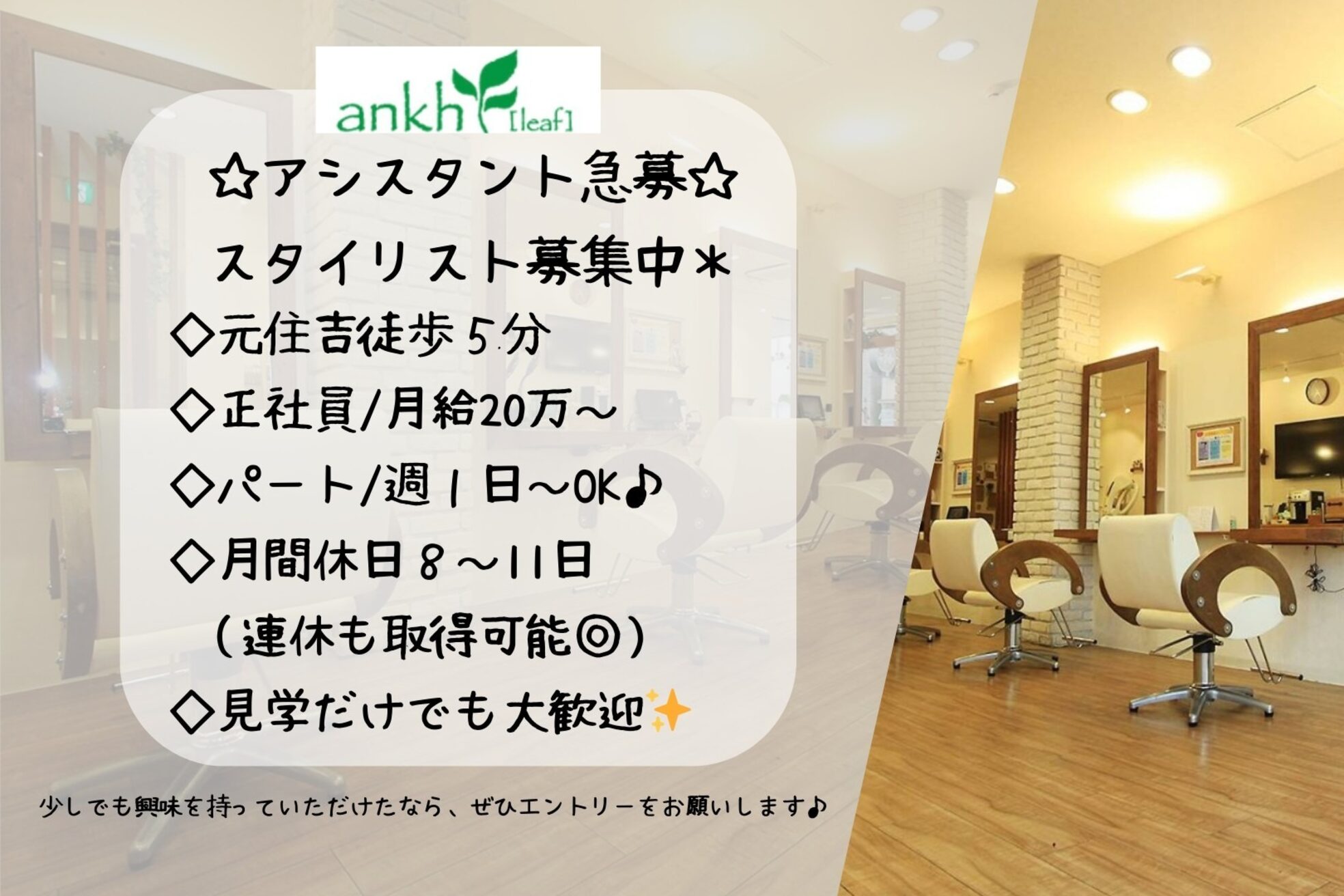 アンク リーフ(ankh leaf)1