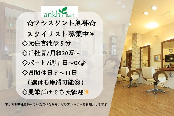 アンク リーフ(ankh leaf)