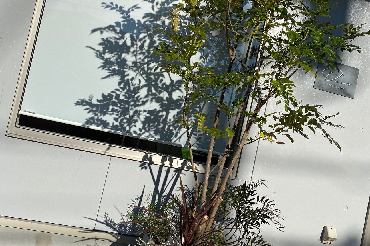 ディシェル(D cier)2