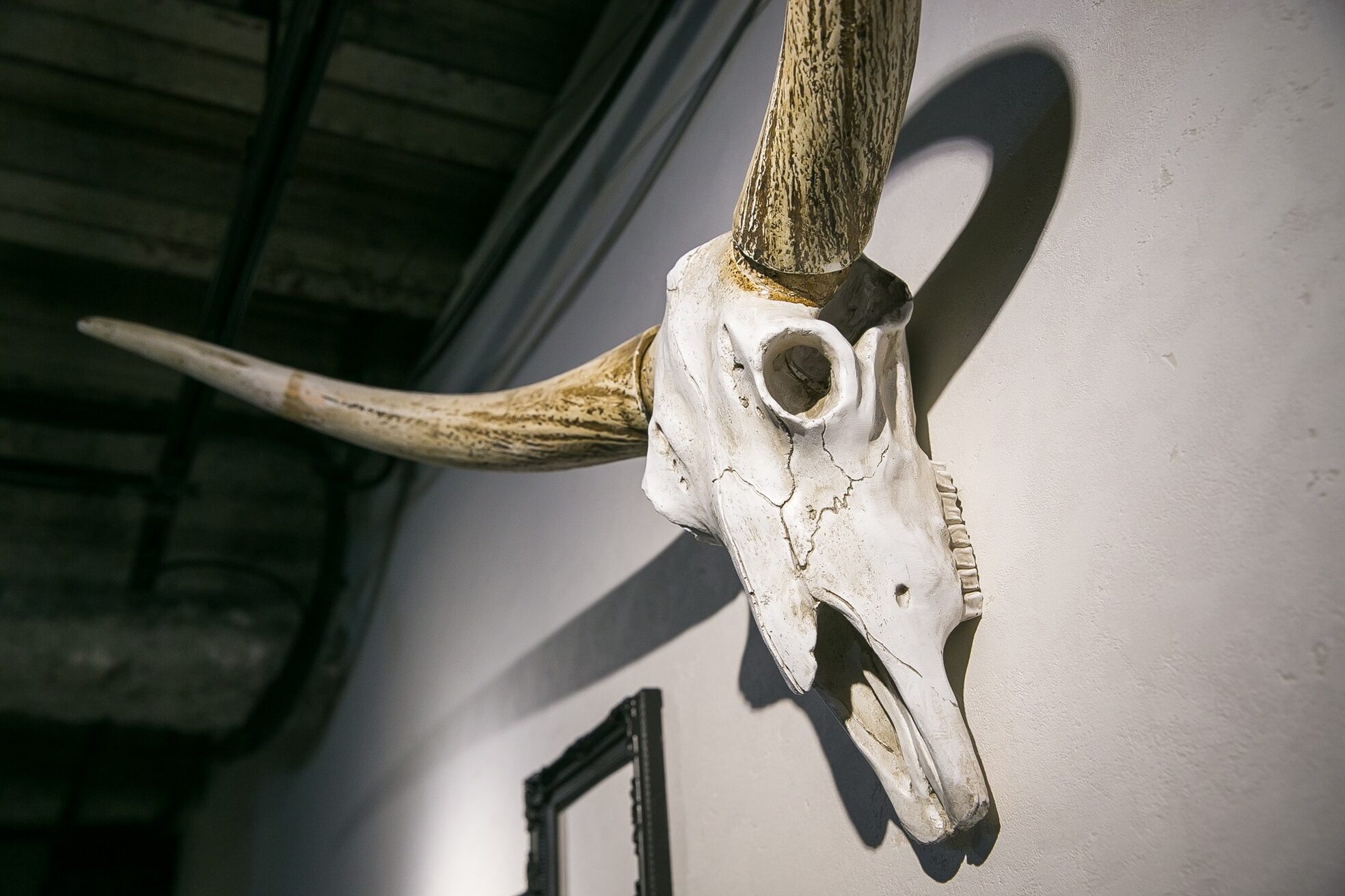 ロウイ 下北沢(LOAWe)8