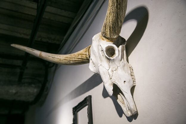 ロウイ 下北沢(LOAWe)8