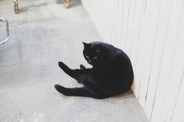 ホワイトルーム(White Room)10