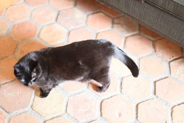 ヒーリングエステ ヌアージュ(nuage by White Room)6