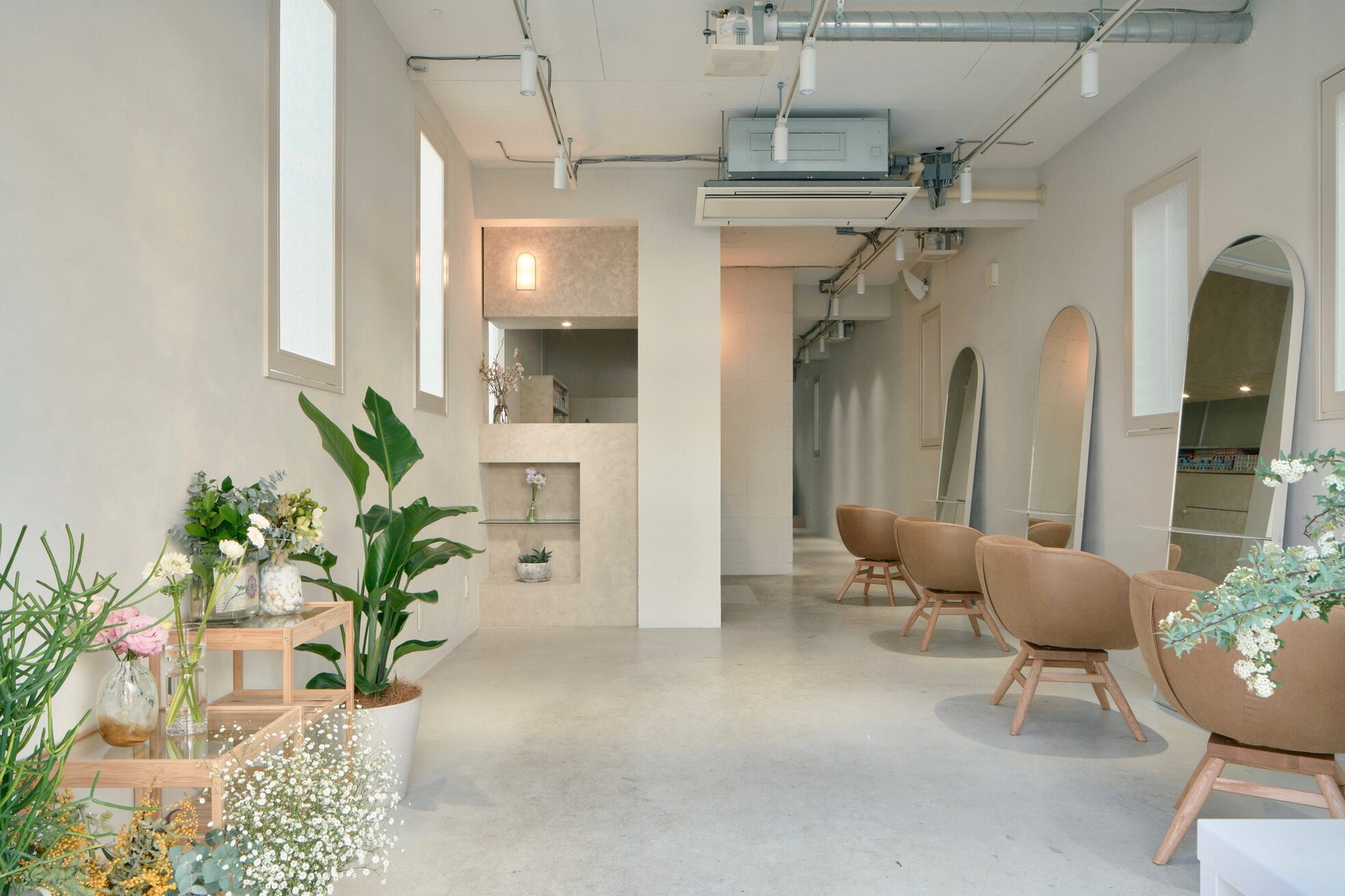 マロウイヴ(mallow eve)2