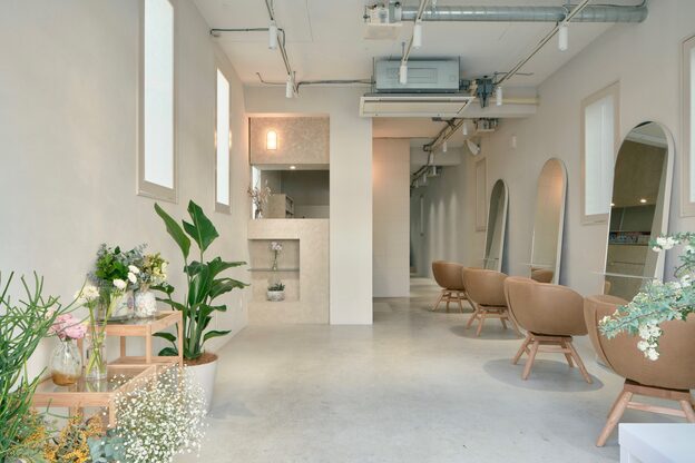 マロウイヴ(mallow eve)2