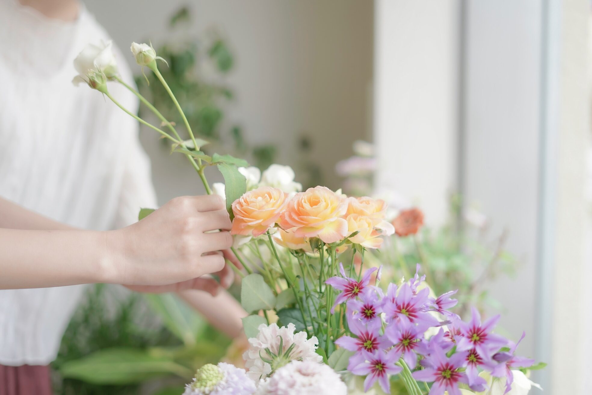 マロウイヴ(mallow eve)4