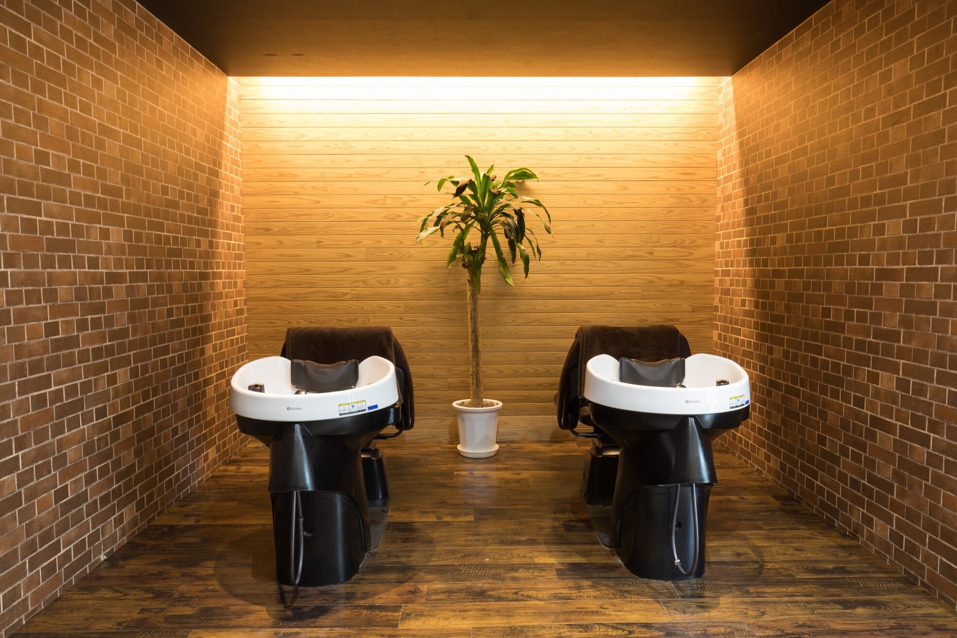 ジャムイース(JAM EASE)6