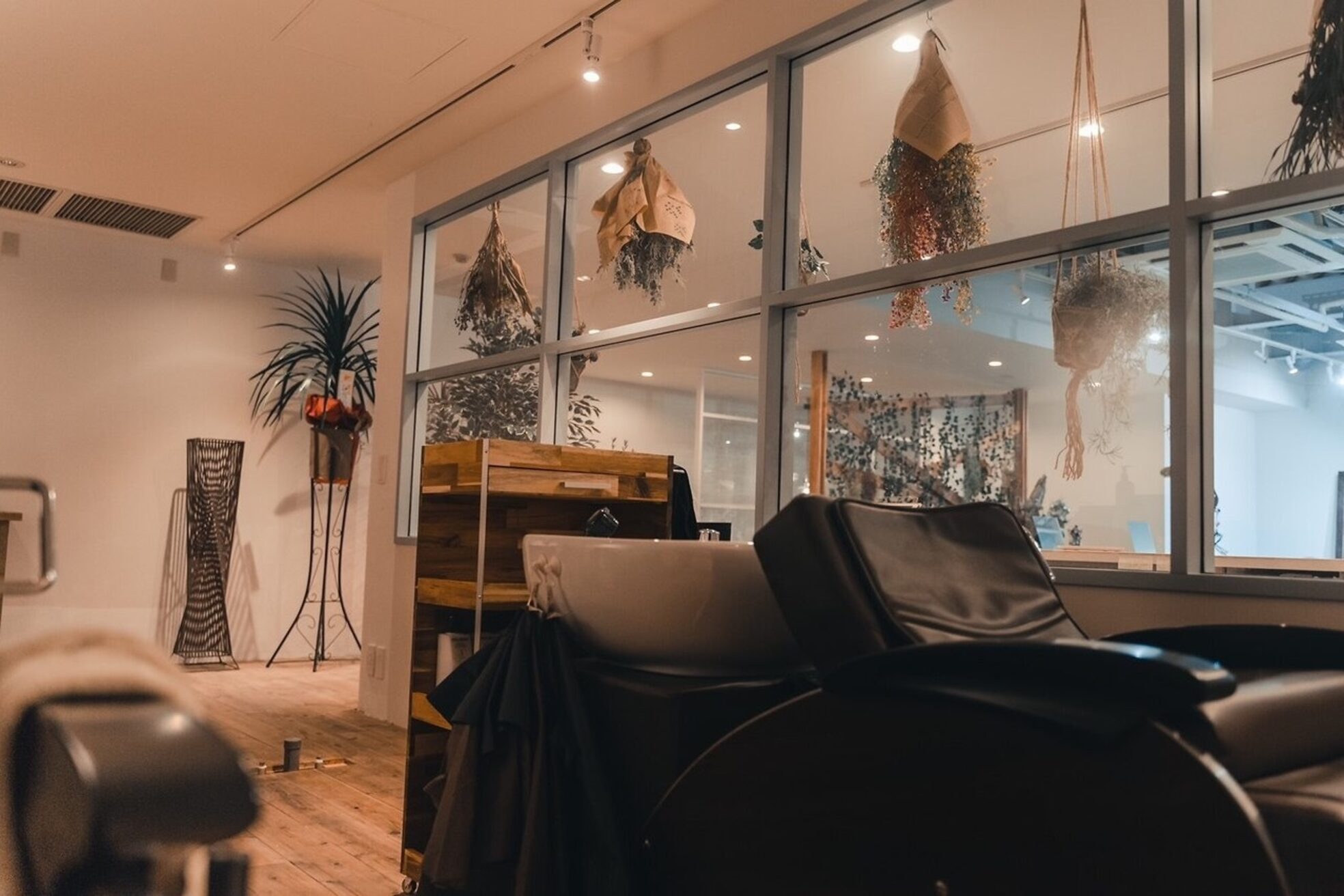 ロイジー(roijir)3