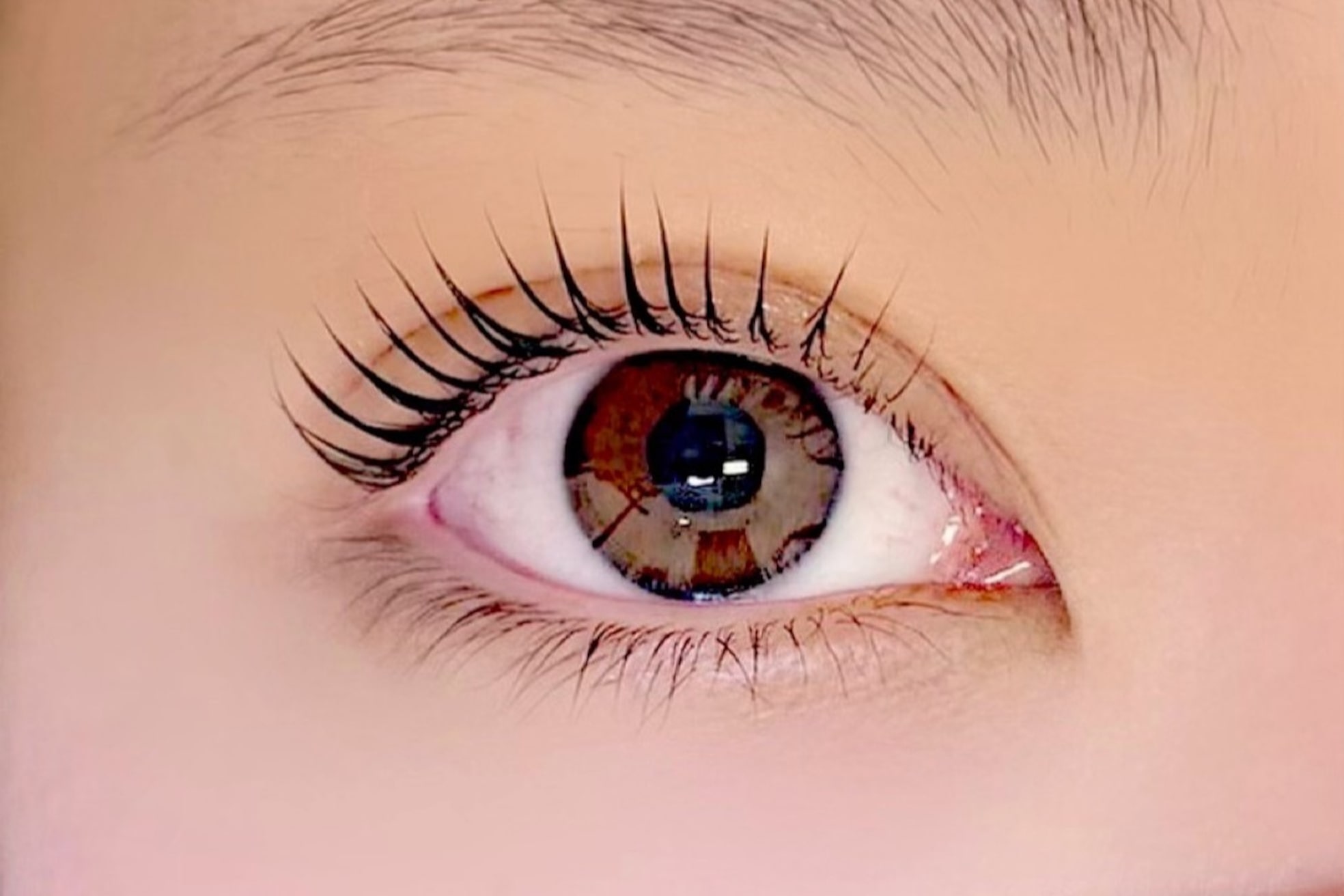 ムゥズファム(Mus' Fam)5