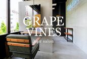 グレープバイン(GRAPEVINES)