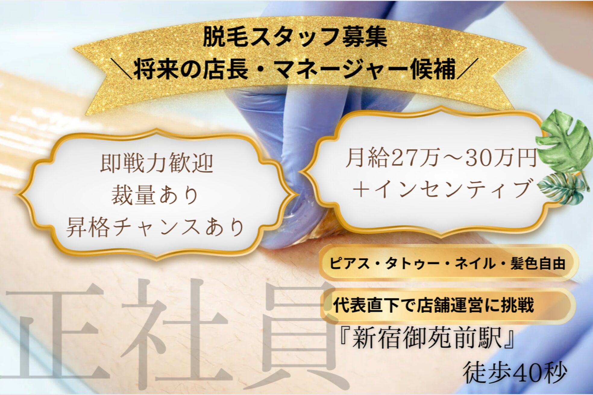ミヌエット 新宿御苑(Minuet)1