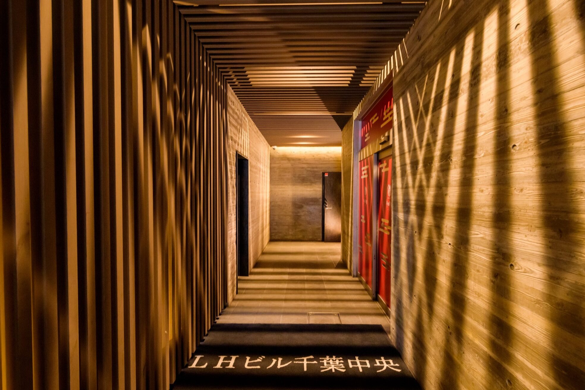 トリー アンド デリー(Toliy&Deliy)2