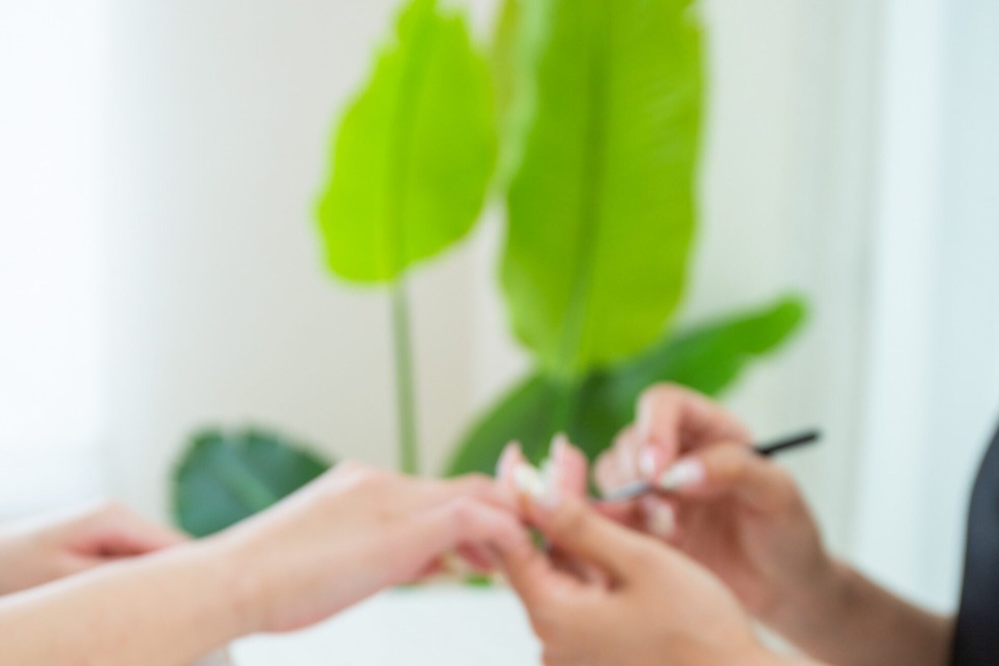 ブランシェネイル(Branche Nail)6