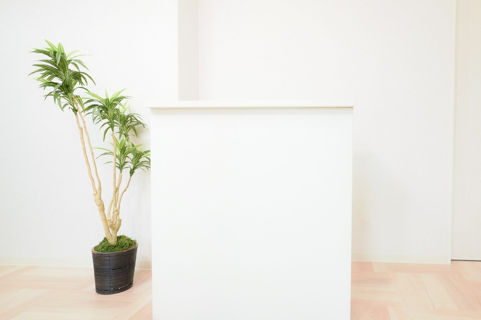 モアプラスビューティーサロン(MORE＋ beauty salon)5