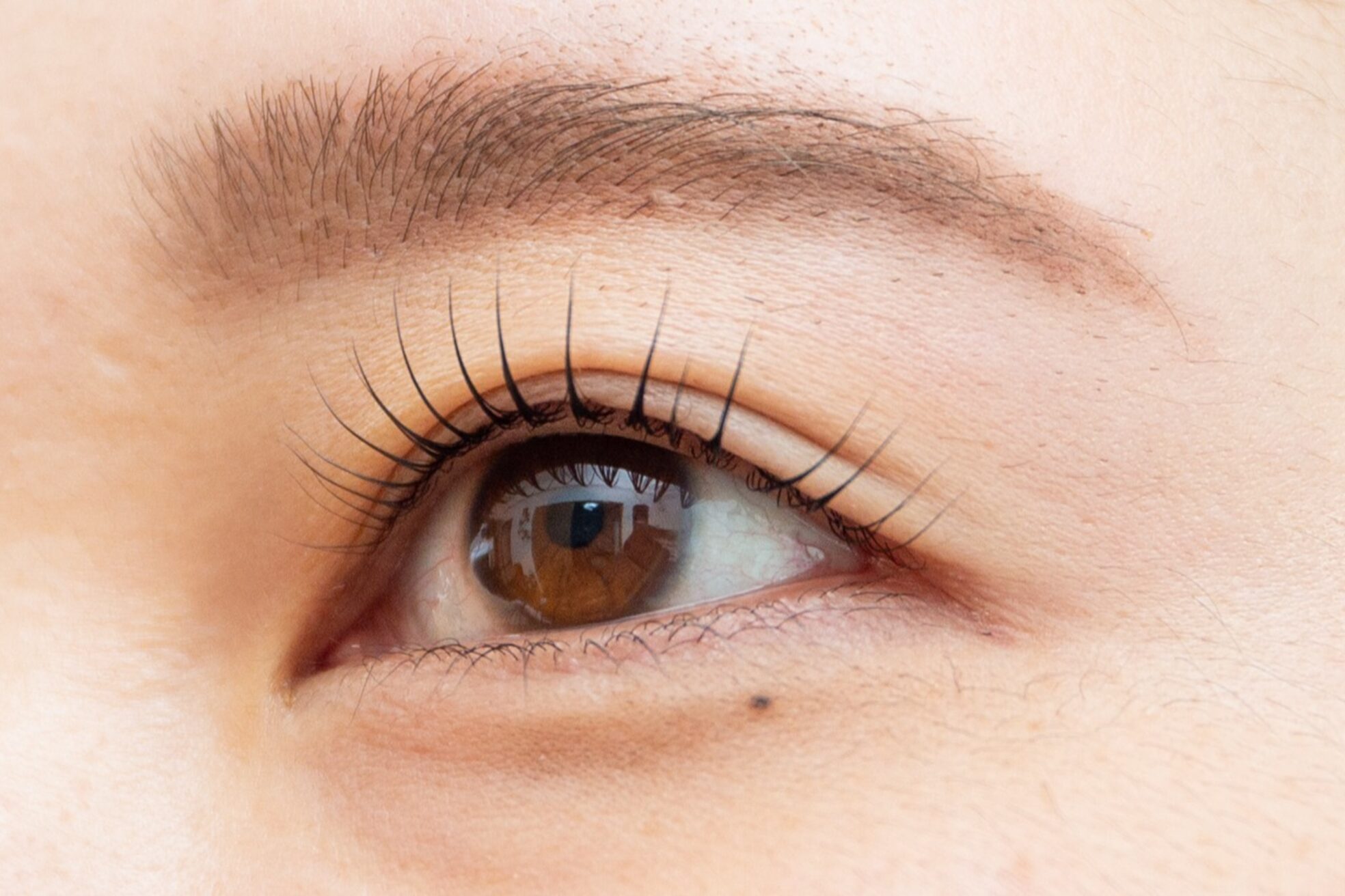 ブランシェネイル(Branche Nail)5