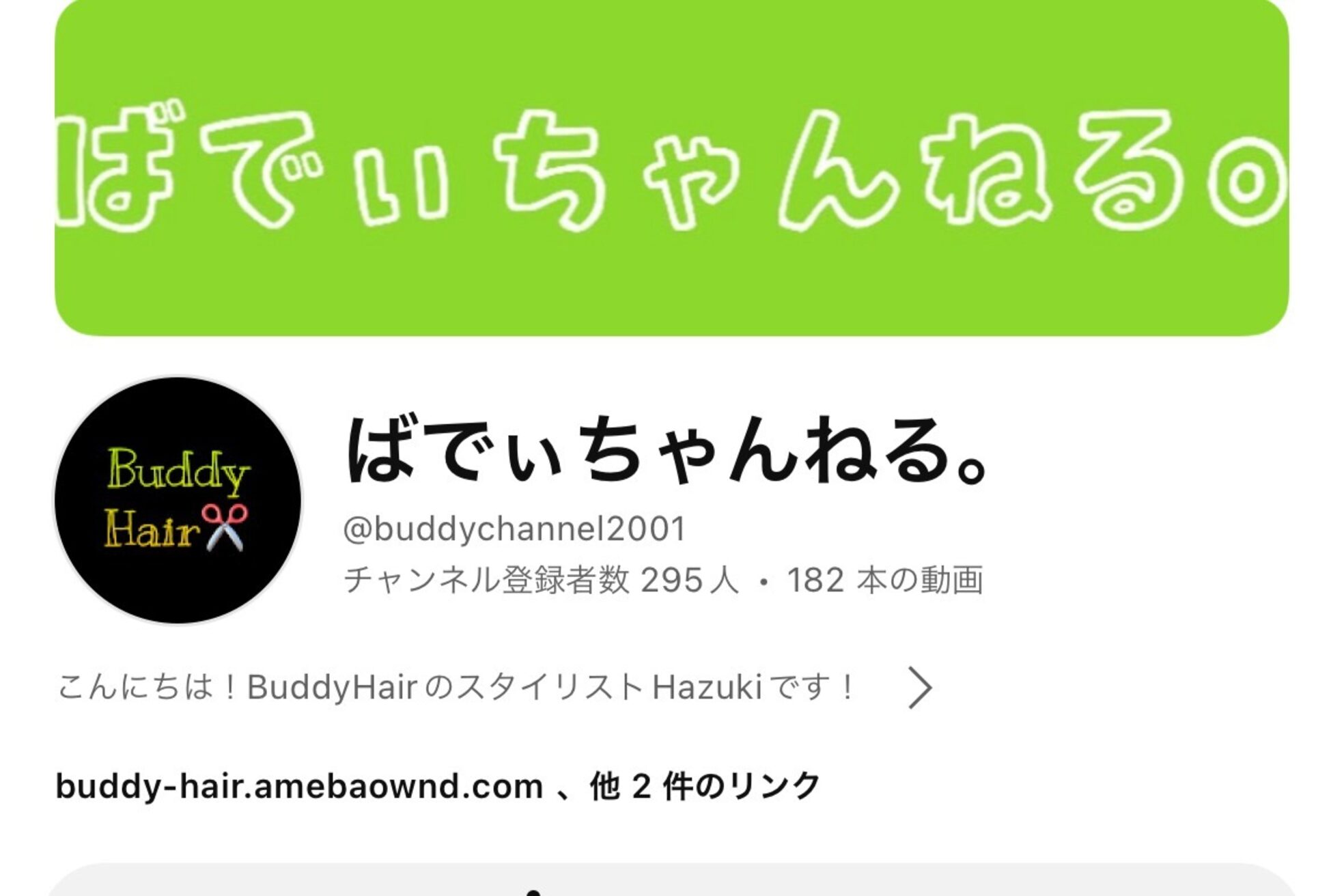 バディー ヘアー(Buddy Hair)20