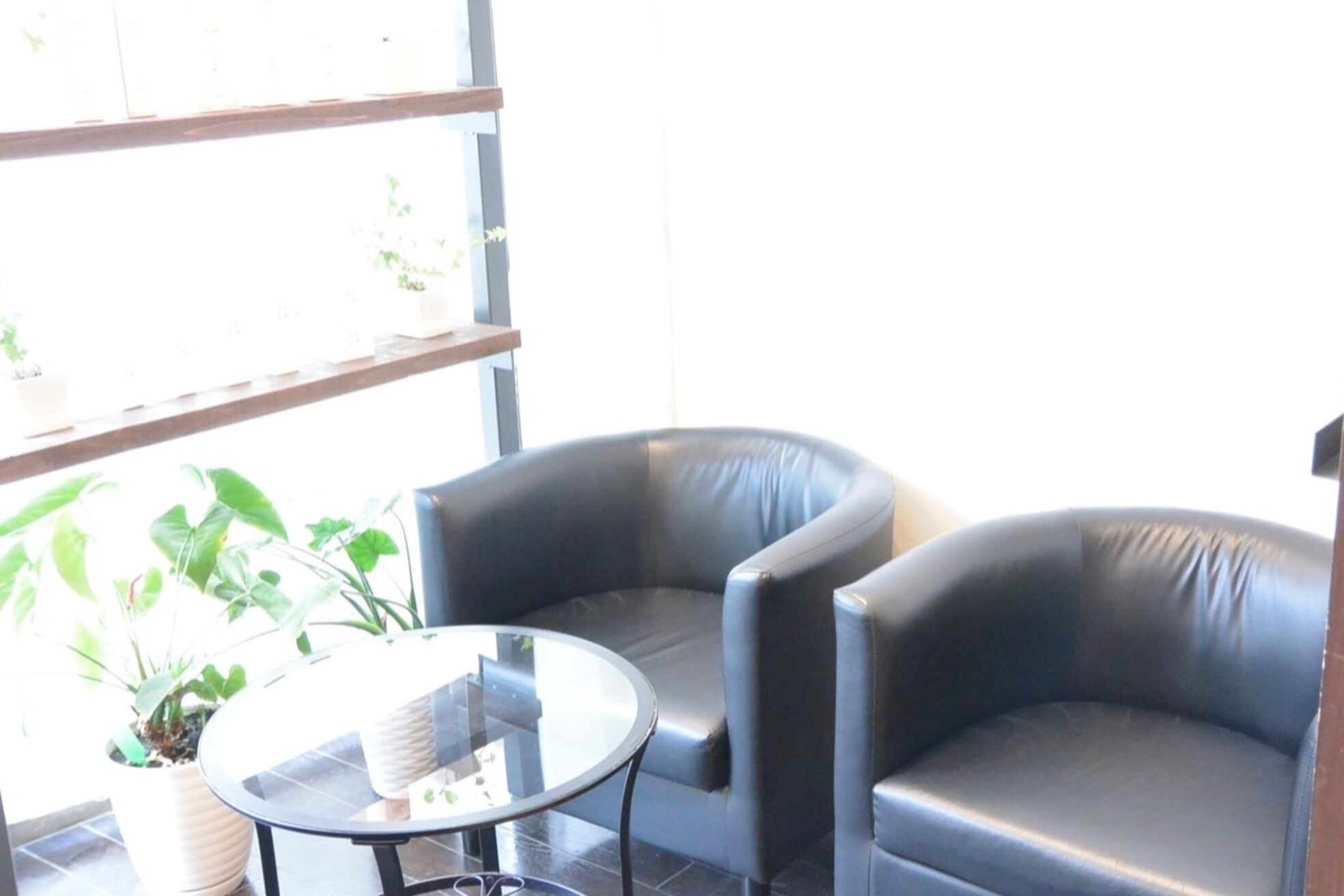 バーベナ(Verbena)5