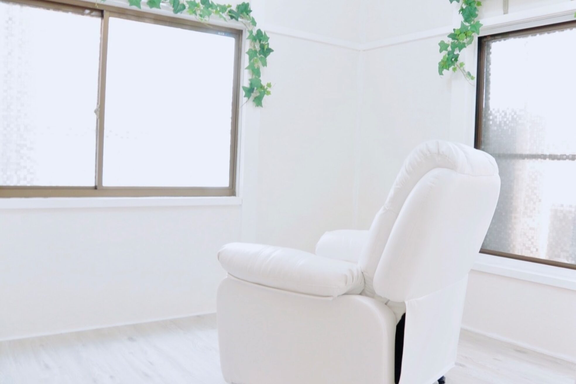 バーベナ(Verbena)6