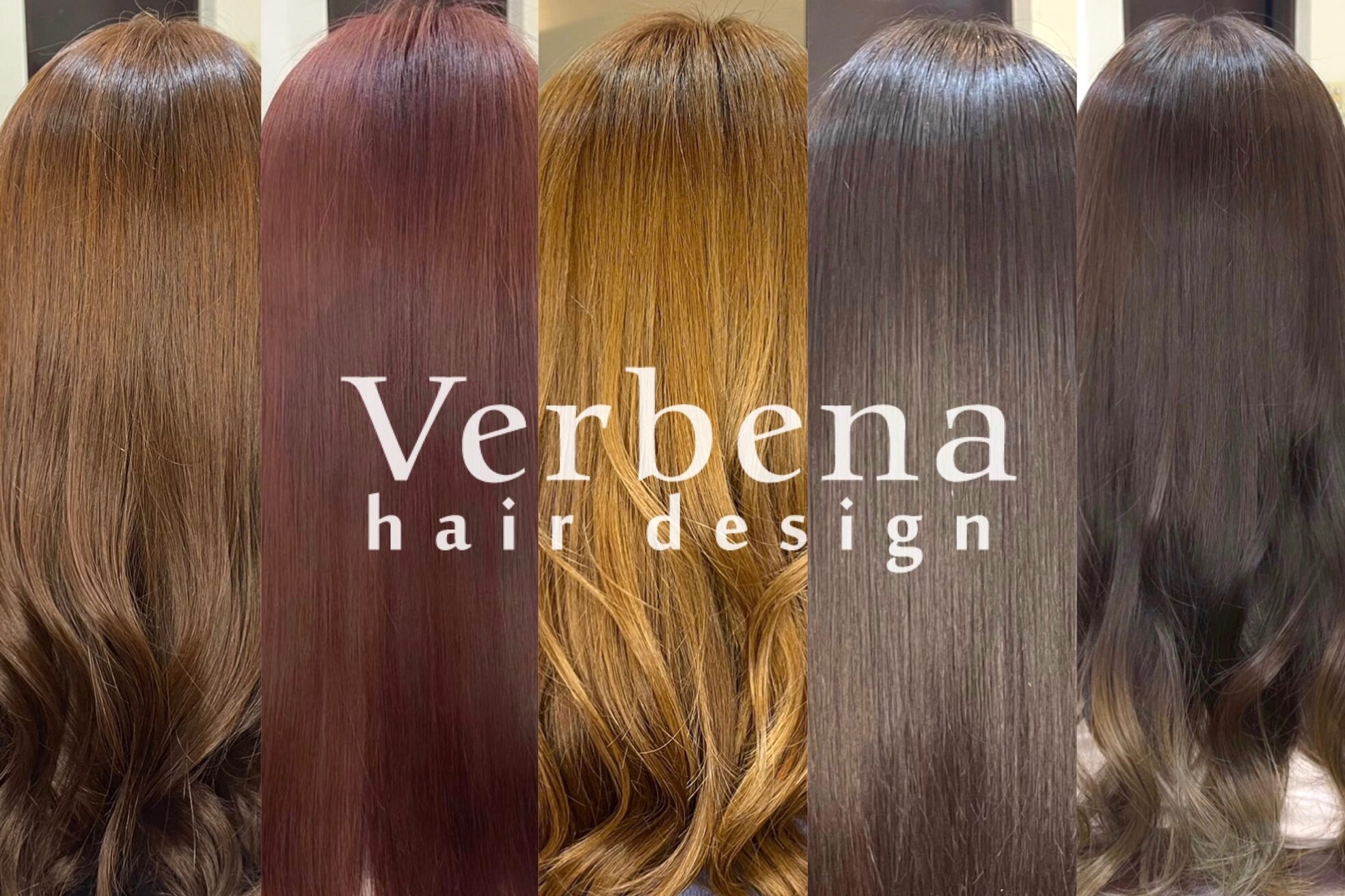 バーベナ(Verbena)8