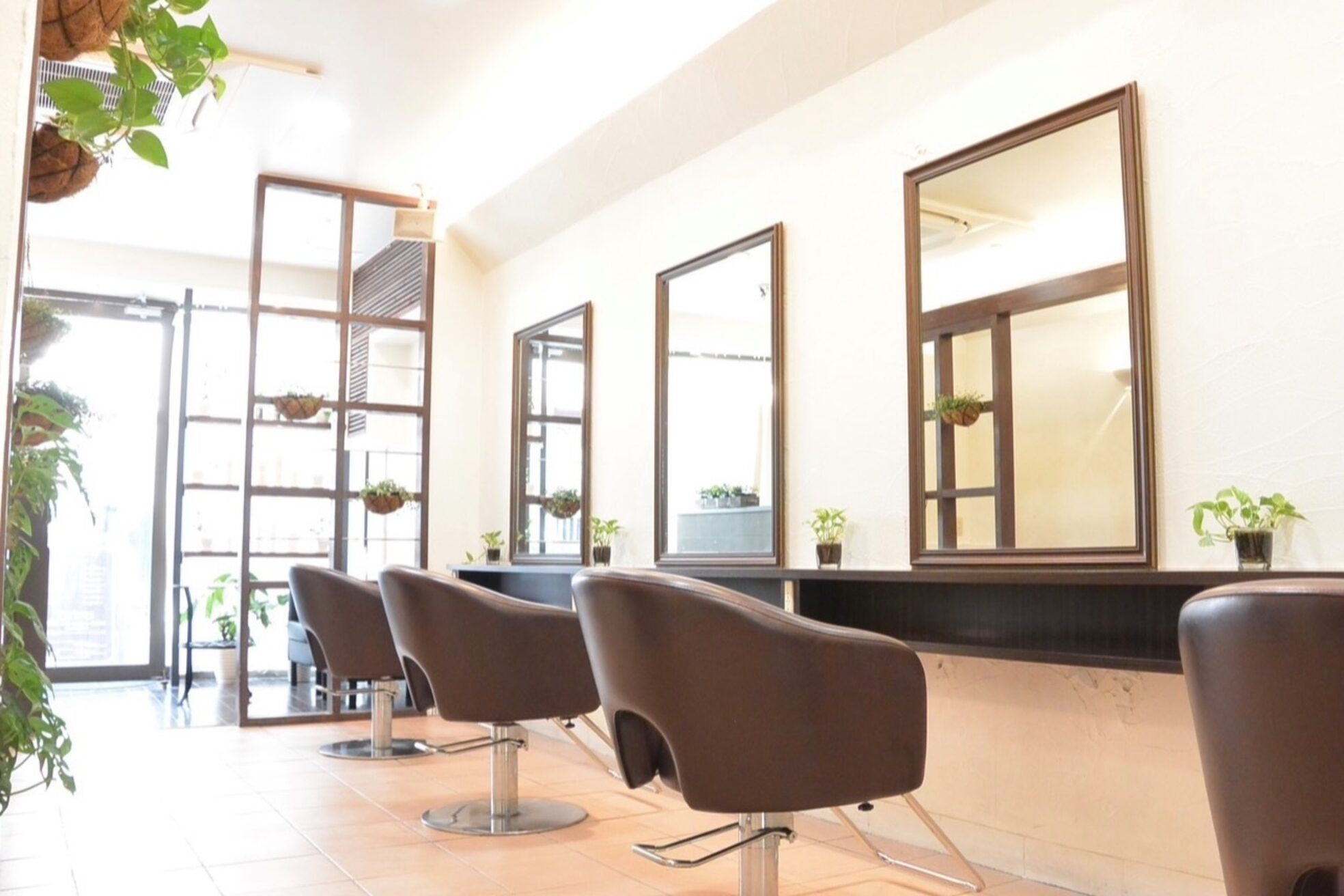 バーベナ(Verbena)2