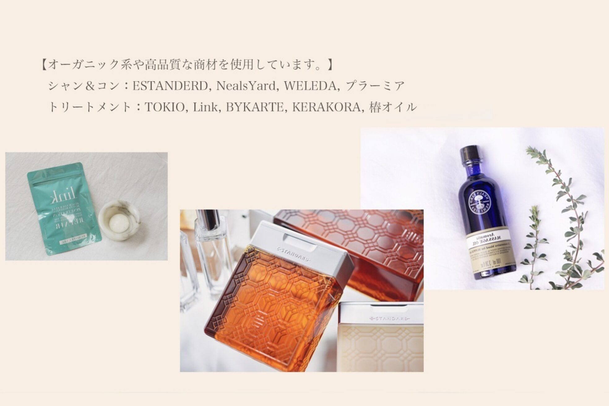 シルフィ(sylph)8