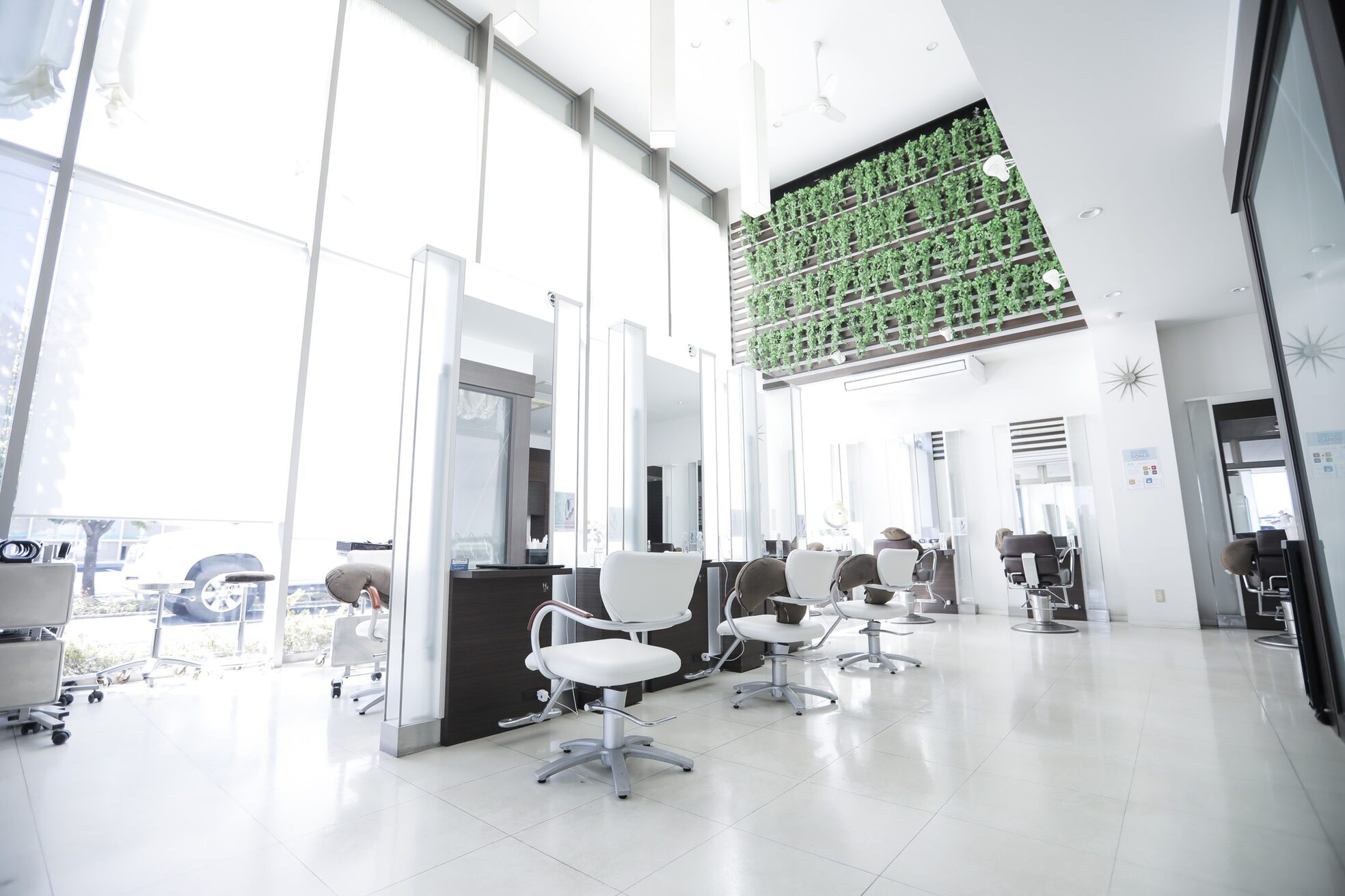 ブルーテーフ(Bleu Terre)1