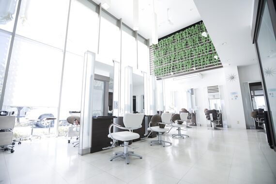 ブルーテーフ(Bleu Terre)