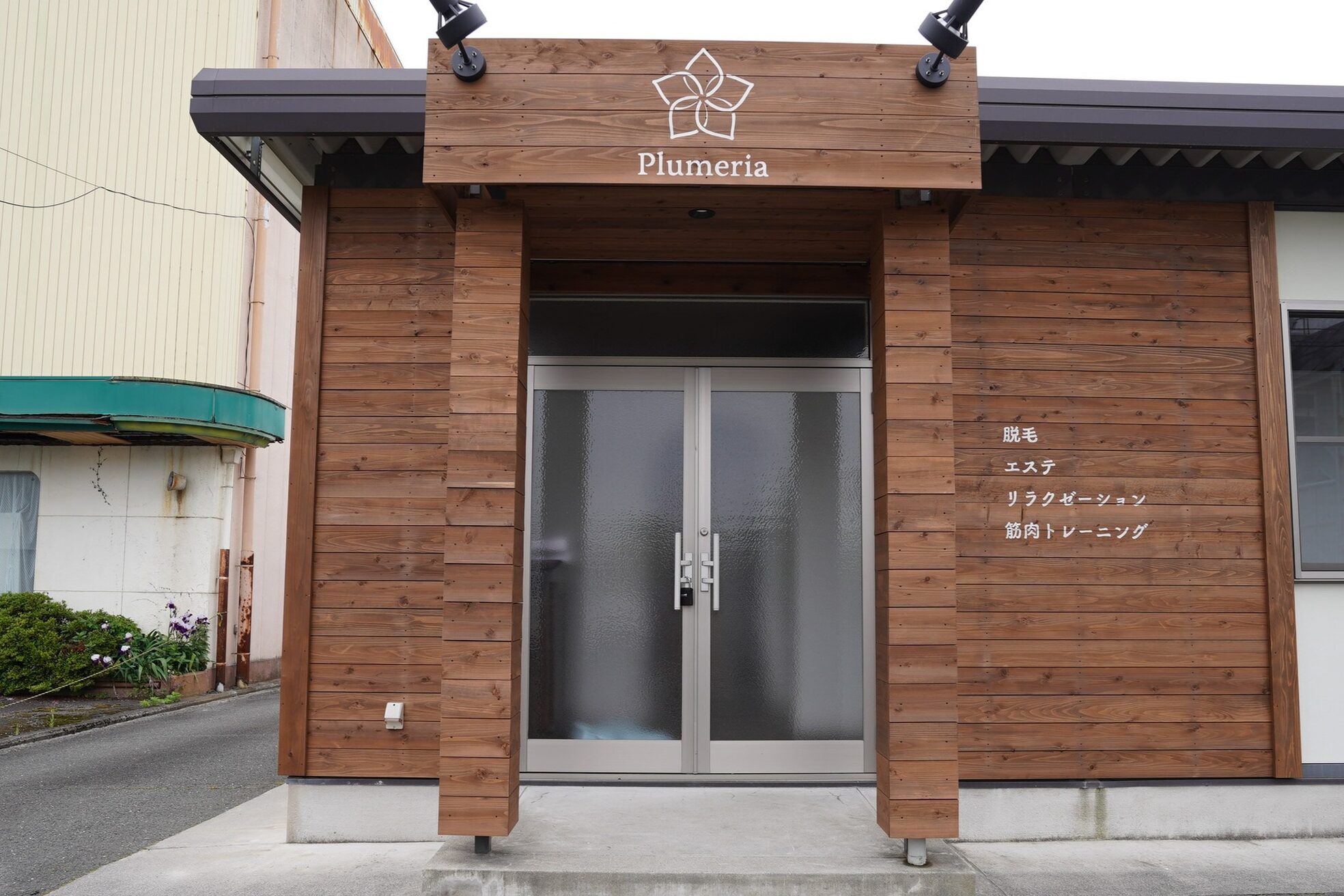 プルメリア(Plumeria)2