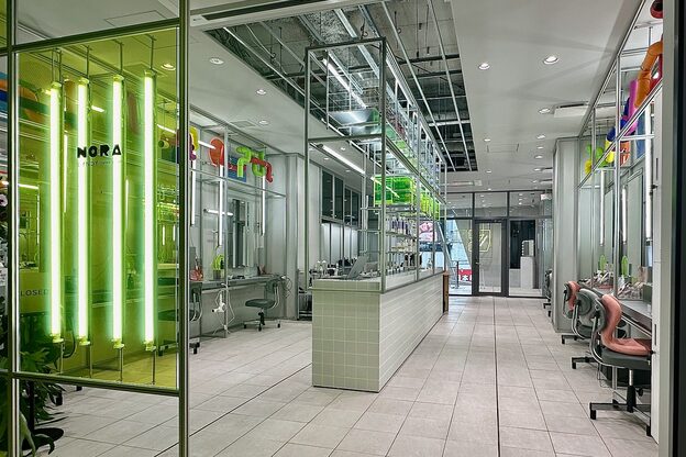 ノラ シンディ(NORA CYNDY)1