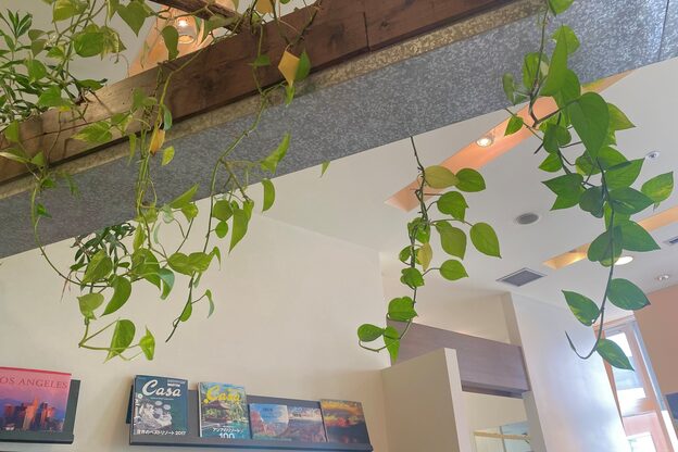 ルフトヘア 南千住7