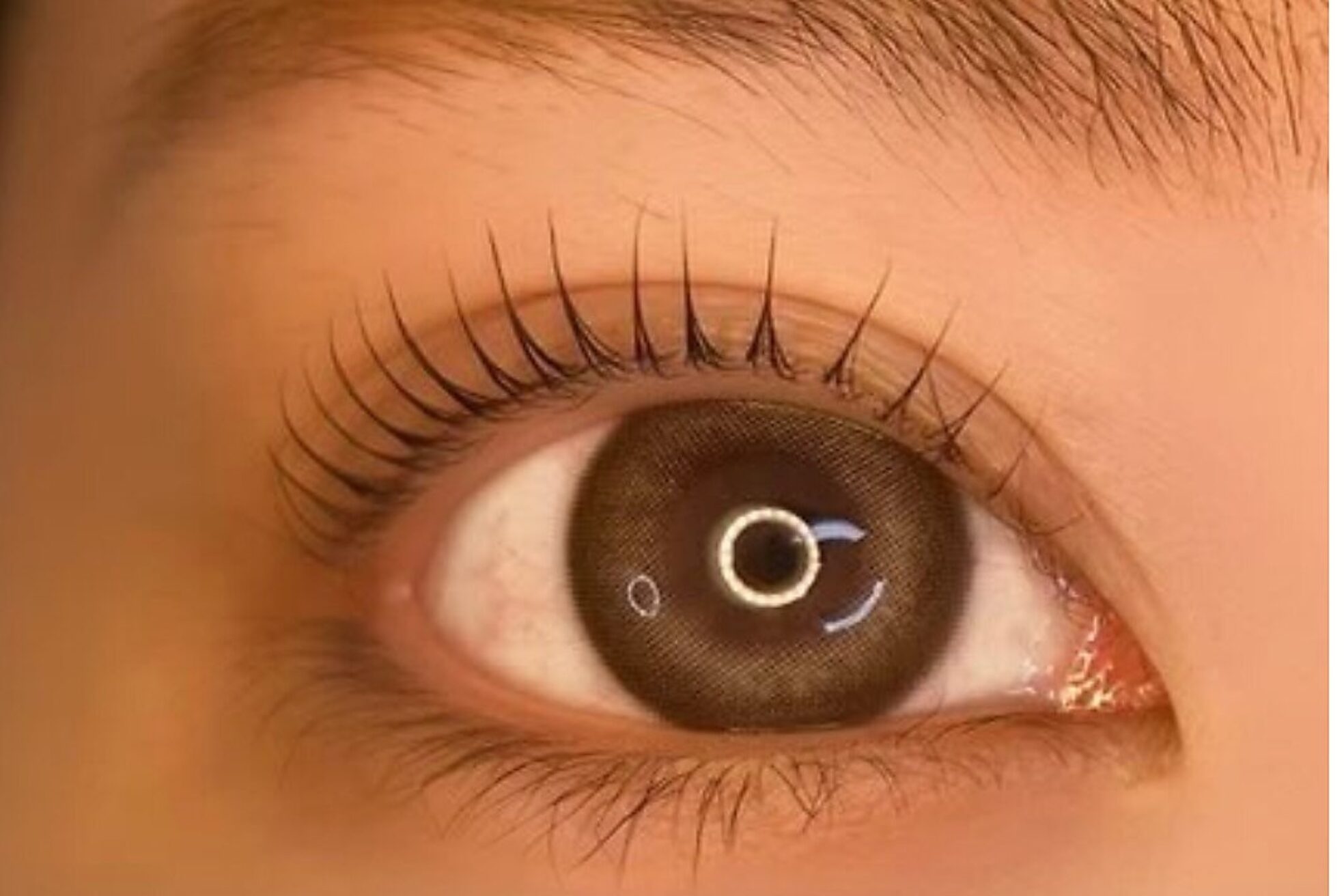 ジープラス(G+)2