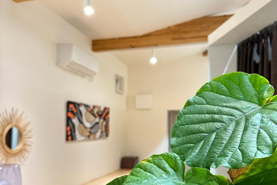 もみほぐし プカプカ