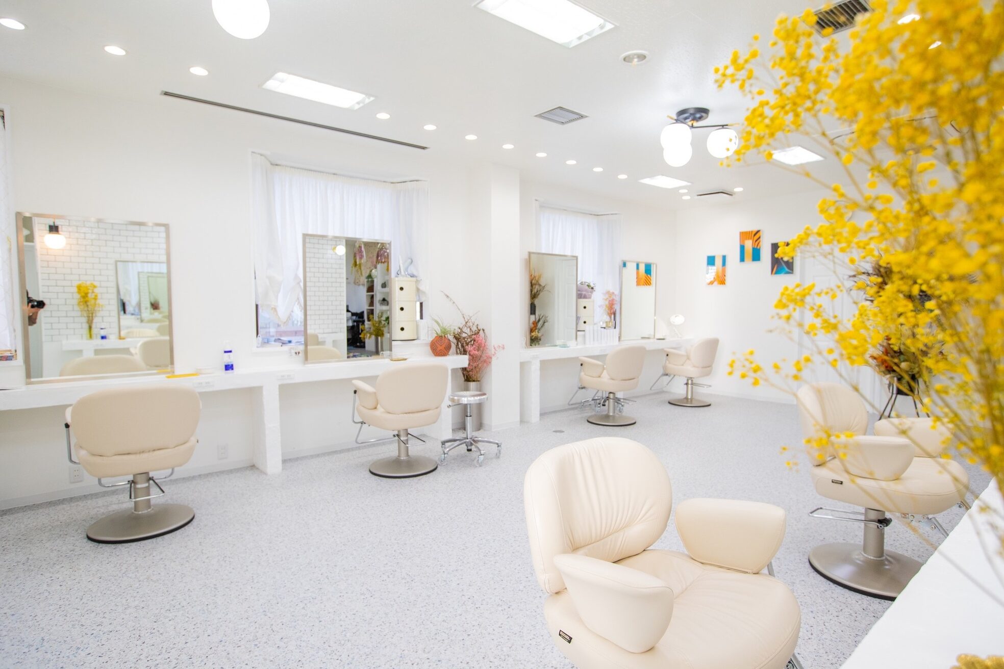 ロマーリ(LOMARLIE)1