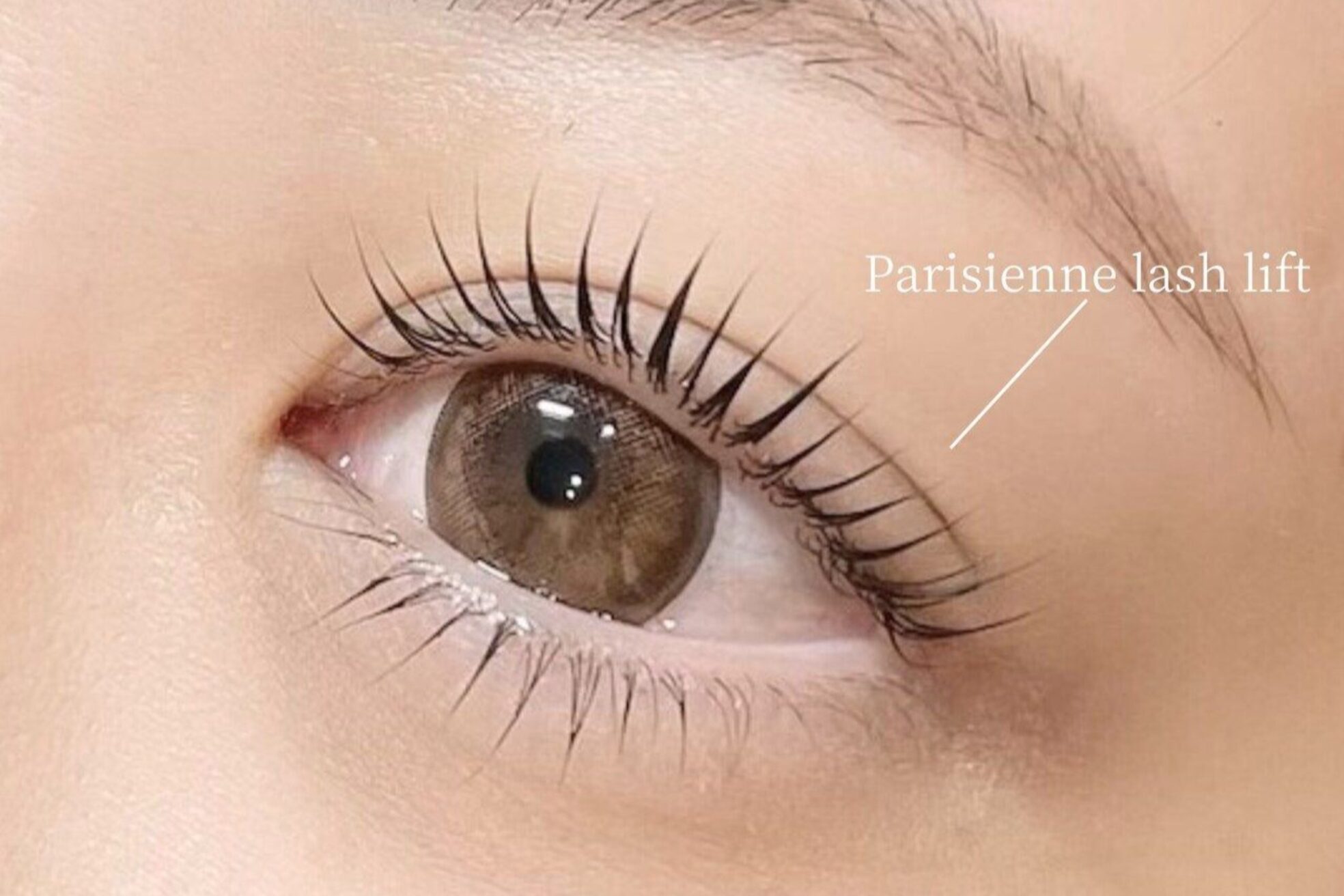 アンジェリカミッシェル 津田沼店8